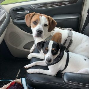 Meet your Posher, Kyle